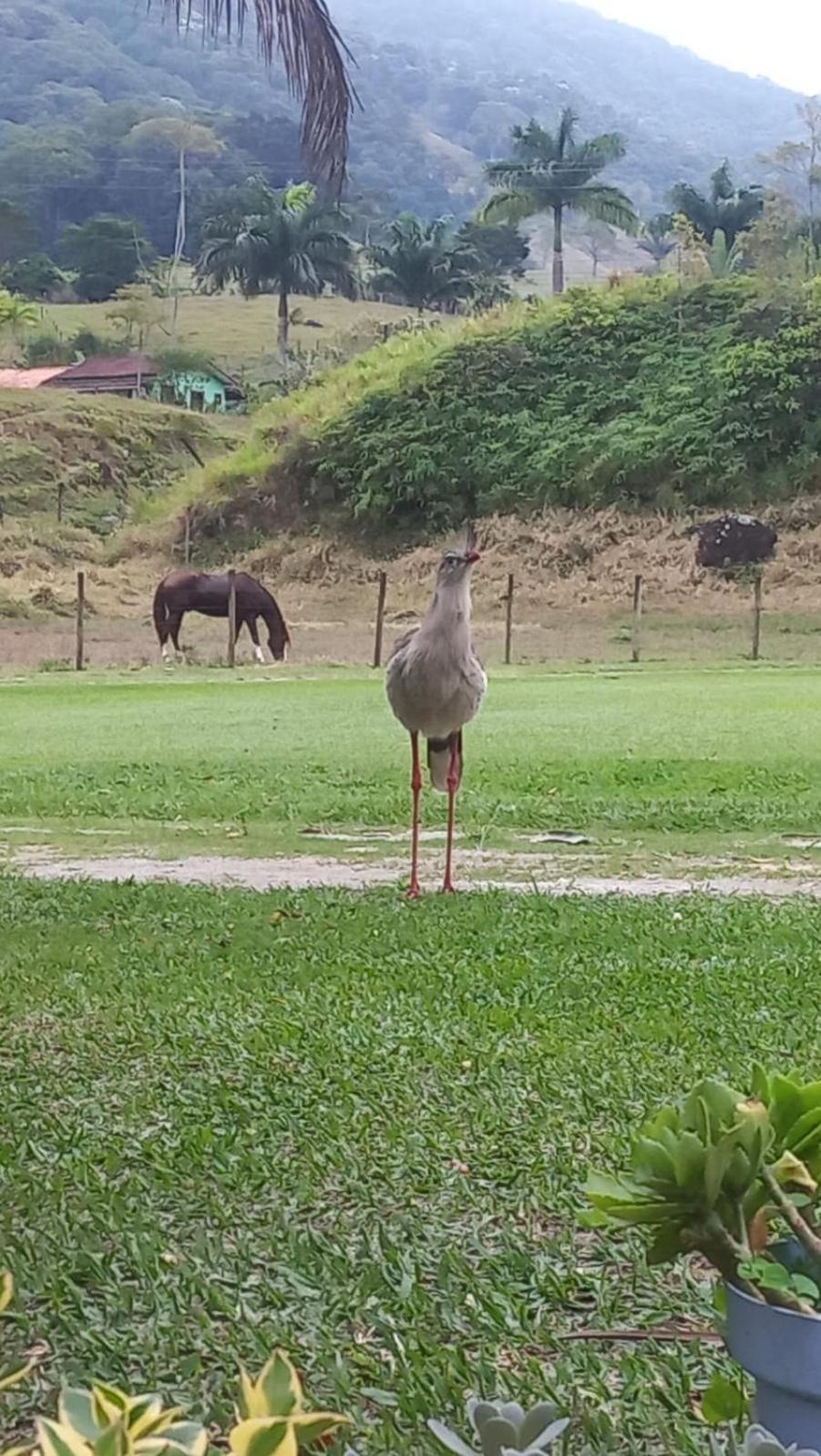 Pousada Vale Encantado Do Sana Hotel Macae Luaran gambar